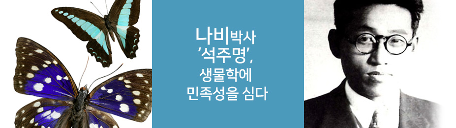 나비박사 ‘석주명’, 생물학에 민족성을 심다