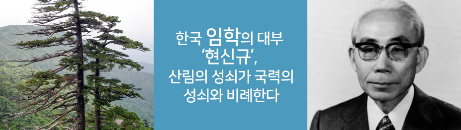 한국 임학의 대부 ‘현신규’…“산림의 성쇠가 국력의 성쇠와 비례한다”