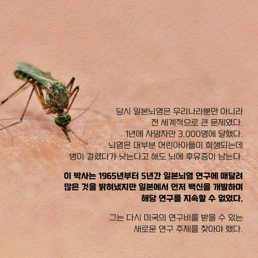 당시 일본뇌염은 우리나라뿐만 아니라 전 세계적으로 큰 문제였다. 1년에 사망자만 3,000명에 달했다. 뇌염은 대부분 어린아이들이 희생되는데 병이 걸렸다가 낫는다고 해도 뇌에 후유증이 남는다. 이 박사는 1965년부터 5년간 일본뇌염 연구에 매달려 많은 것을 밝혀냈지만 일본에서 먼저 백신을 개발하며 해당 연구를 지속할 수 없었다. 그는 다시 미국의 연구비를 받을 수 있는 새로운 연구 주제를 찾아야 했다.