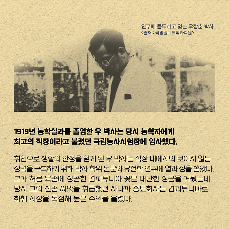 1919년 농학실과를 졸업한 우 박사는 당시 농학자에게 최고의 직장이라고 불렸던 국립농사시험장에 입사했다. 취업으로 생활의 안정을 얻게 된 우 박사는 직장 내에서의 보이지 않는 장벽을 극복하기 위해 박사 학위 논문와 유전학 연구에 열과 성을 쏟았다. 그가 처음 육종에 성공한 겹피튜니아 꽃은 대단한 성공을 거뒀는데, 당시 그의 신종 씨앗을 취급했던 사다까 종묘회사는 겹피튜니아로 화훼 시장을 독점해 높은 수익을 올렸다. 