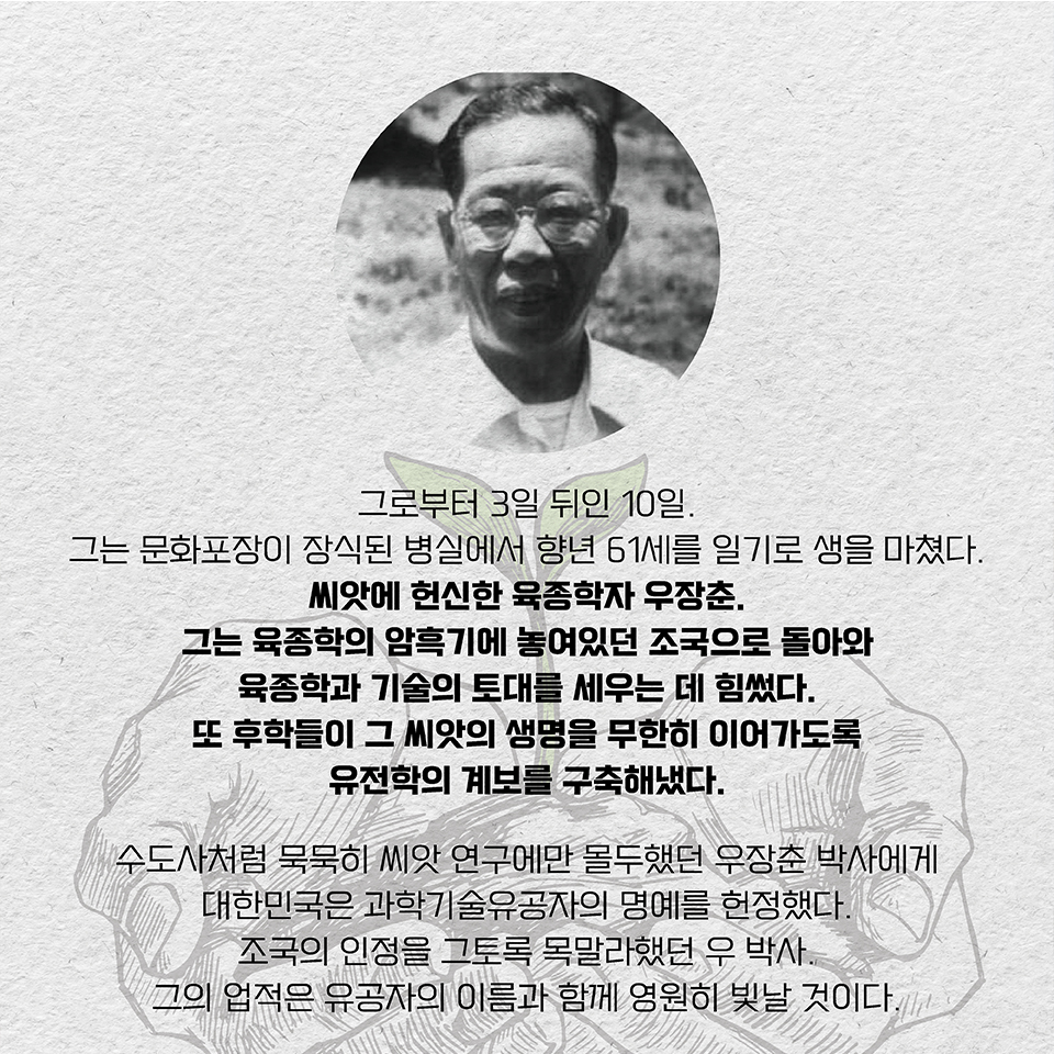 그로부터 3일 뒤인 10일. 그는 문화포장이 장식된 병실에서 향년 61세를 일기로 생을 마쳤다. 씨앗에 헌신한 육종학자 우장춘. 그는 육종학의 암흑기에 놓여있던 조국으로 돌아와 육종학과 기술의 토대를 세우는 데 힘썼다. 또 후학들이 그 씨앗의 생명을 무한히 이어가도록 유전학의 계보를 구축해냈다. 수도사처럼 묵묵히 씨앗 연구에만 몰두했던 우장춘 박사에게 대한민국은 과학기술유공자의 명예를 헌정했다. 조국의 인정을 그토록 목말라했던 우 박사. 그의 업적은 유공자의 이름과 함께 영원히 빛날 것이다. 