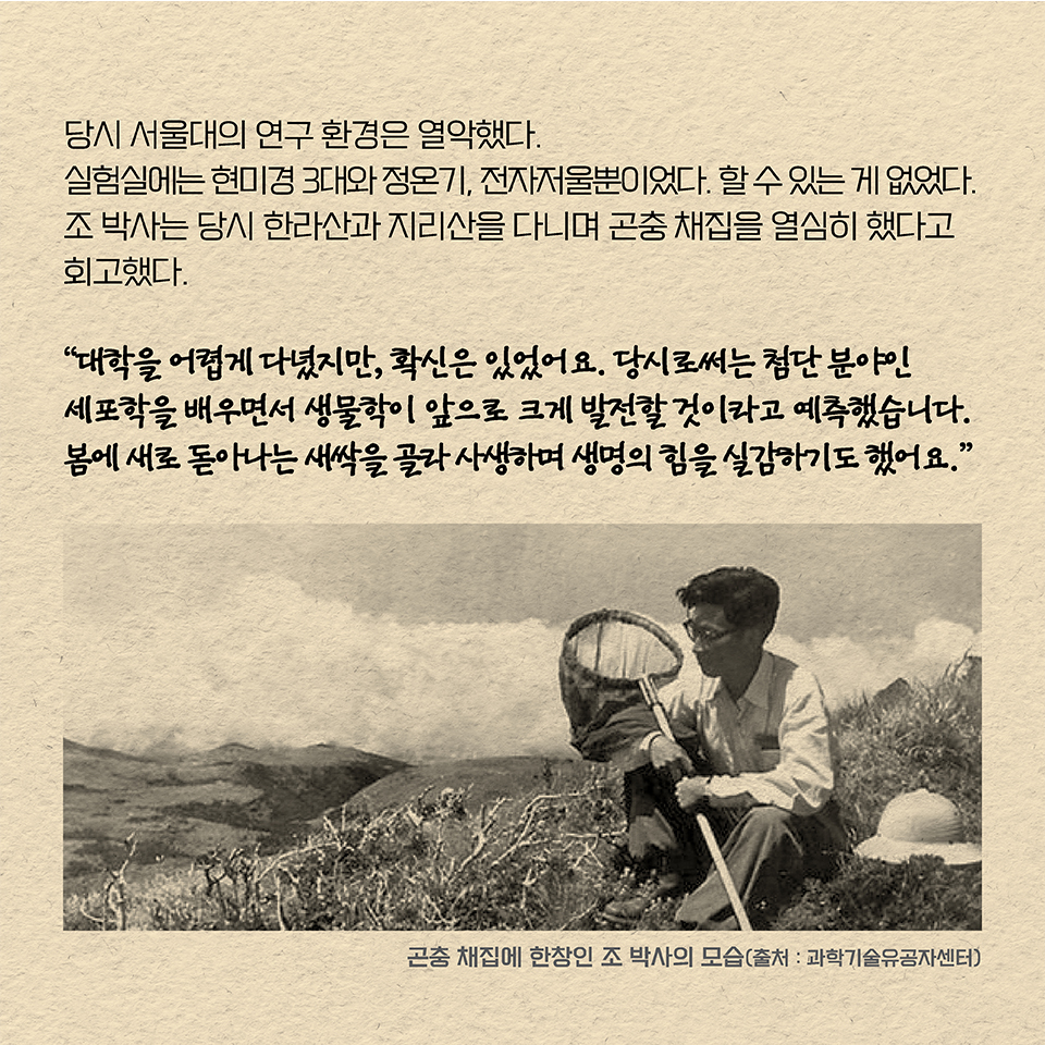 당시 서울대의 연구 환경은 열악했다. 실험실에는 현미경 3대와 정온기, 전자저울뿐이었다. 할 수 있는 게 없었다. 
조 박사는 당시 한라산과 지리산을 다니며 곤충 채집을 열심히 했다고 회고했다. 
“대학을 어렵게 다녔지만, 확신은 있었어요. 당시로써는 첨단 분야인 세포학을 배우면서 생물학이 앞으로 크게 발전할 것이라고 예측했습니다. 
봄에 새로 돋아나는 새싹을 골라 사생하며 생명의 힘을 실감하기도 했어요.”